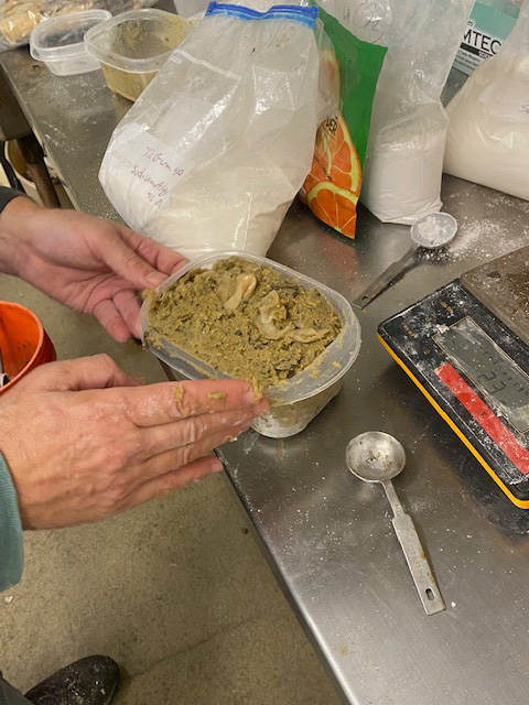 A researcher prepares trial whelk bait at UNH’s Coastal Marine Lab.