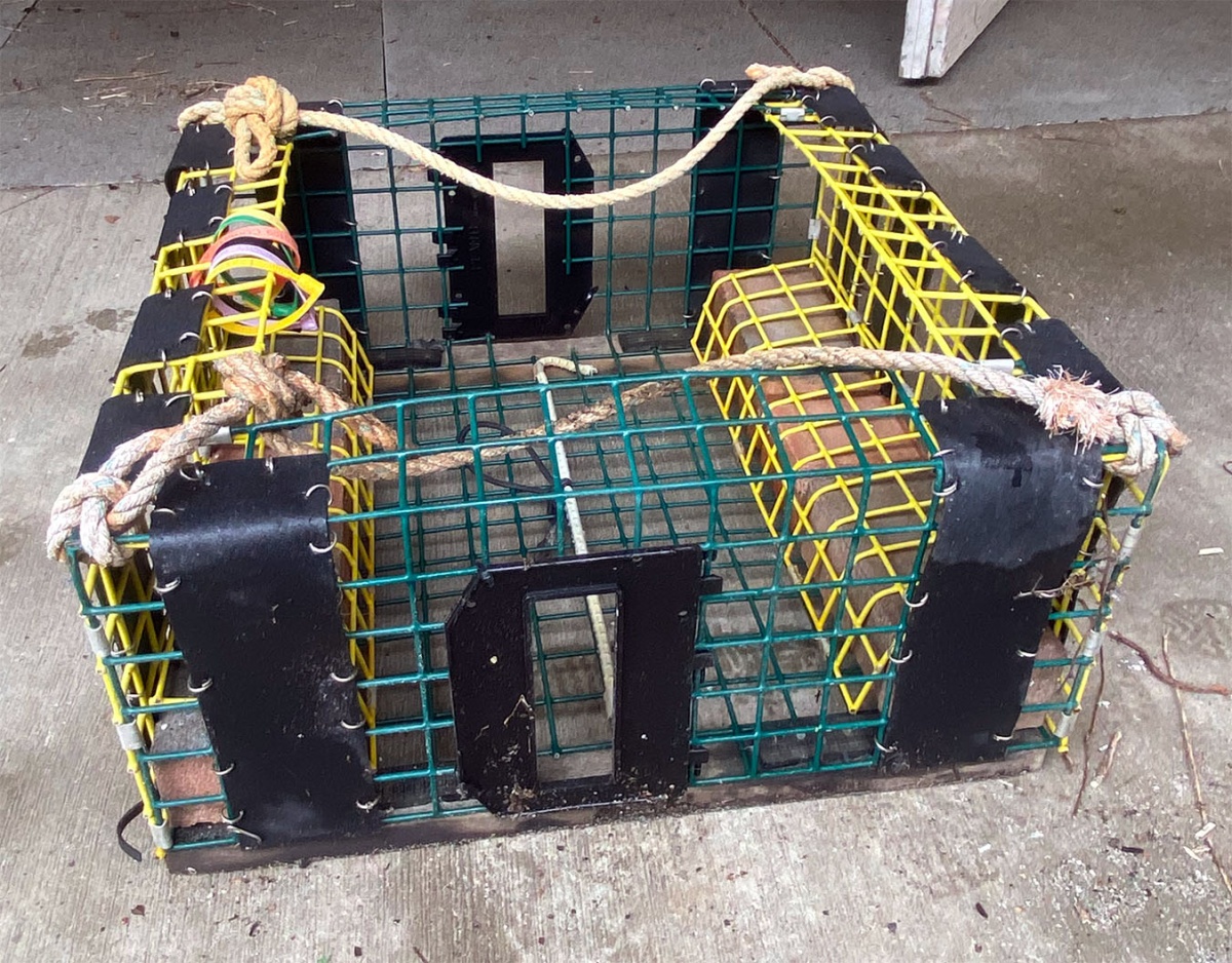A modified whelk trap with escape vents located front and back (tall, rectangular flaps) that sublegal sized whelks can escape through.