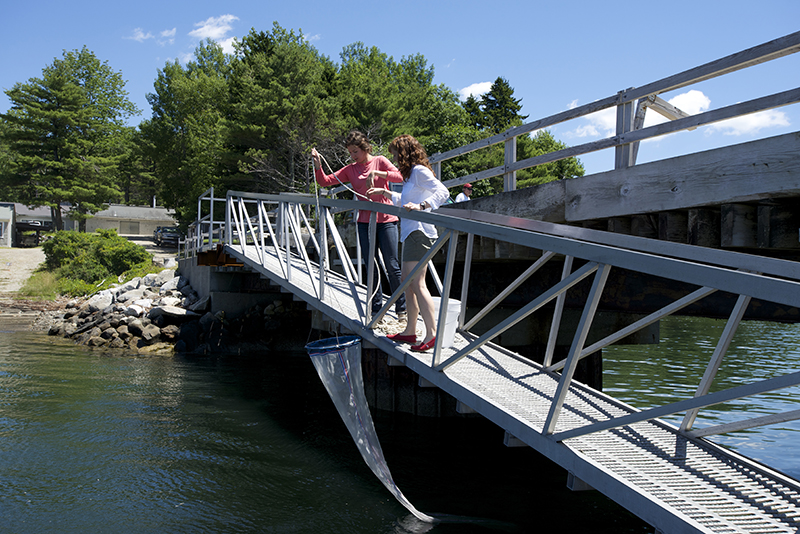 UNH biology major Kate Cart '15