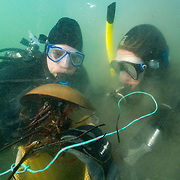 Win Watson and Meghan Owings diving with horseshoe crab