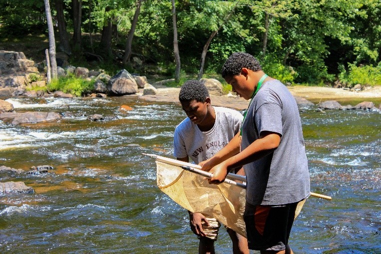 Students look for macroinvertebrate species in the stream during Power Scholars program at the UNH STEM Discovery Lab