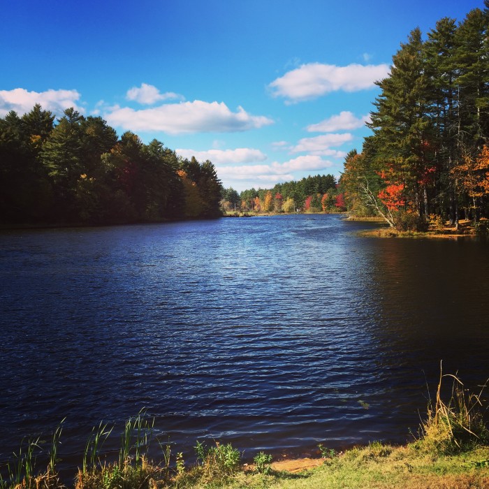 Durham Reservoir in the Gables Woods at UNH
