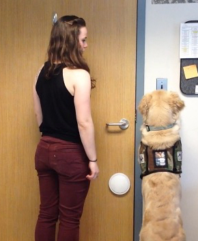 UNH alumna Jen Blessing teaching a service dog to turn on a light