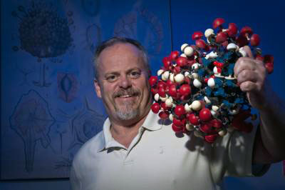 Kelley Thomas, professor of molecular, cellular and biomedical sciences.