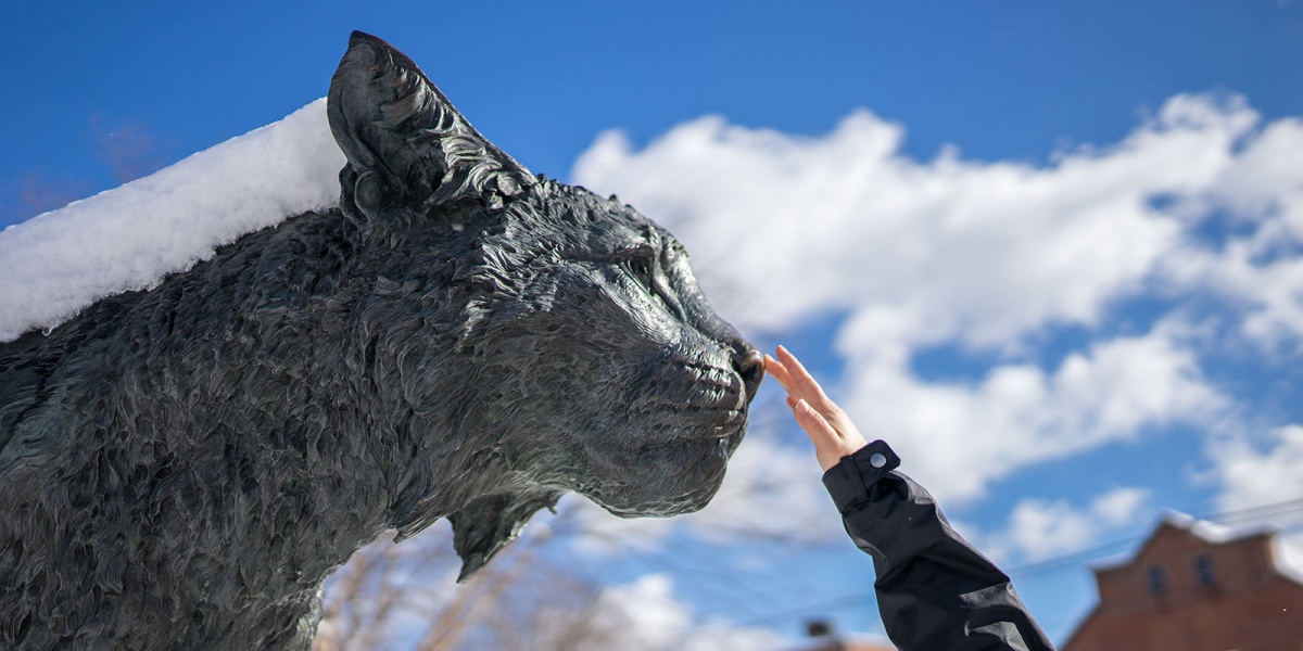 unh wildcat statue in winter