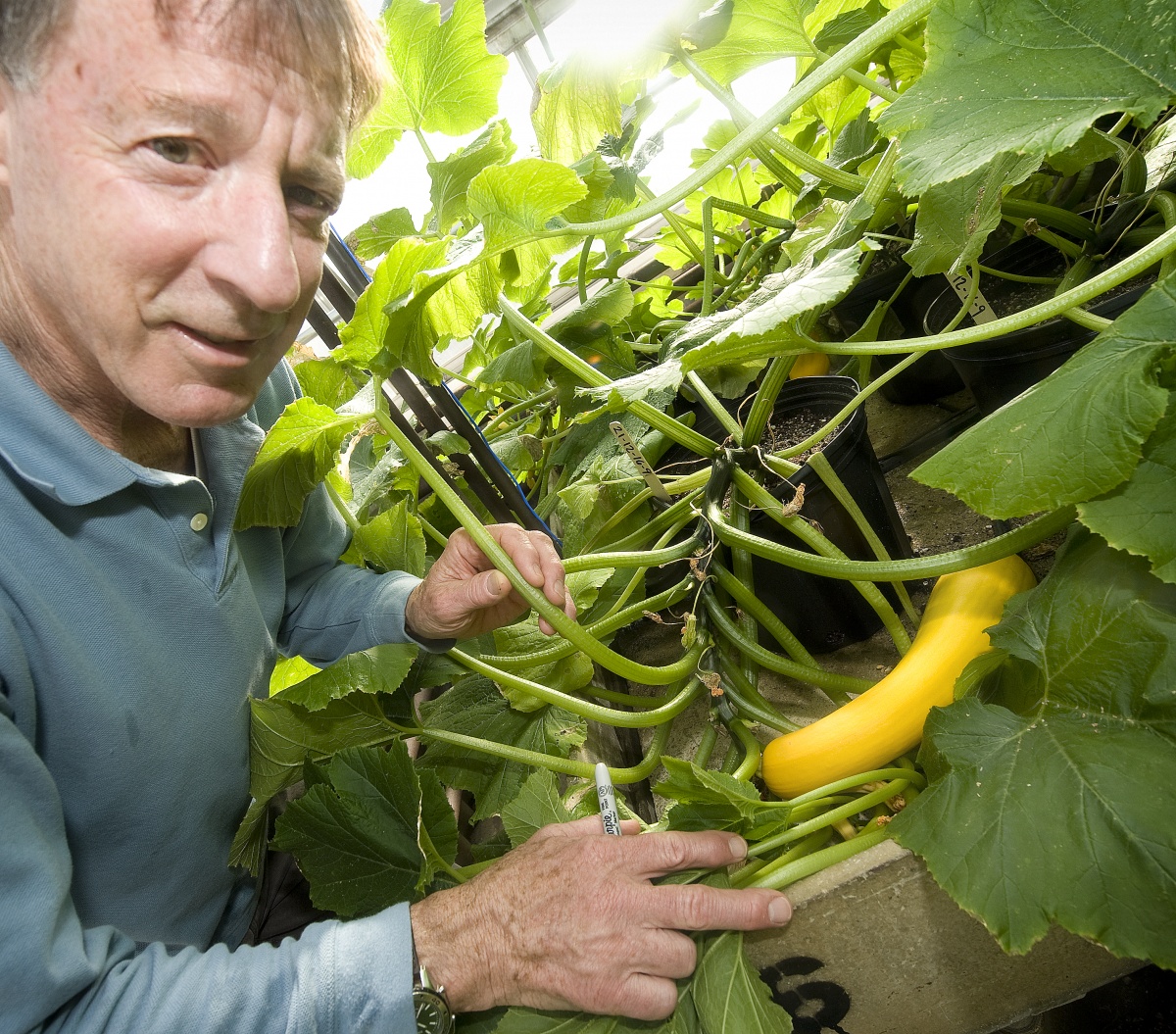 Dr. Brent Loy with cucurbit