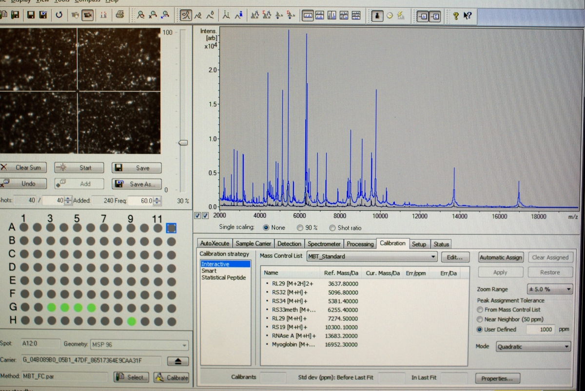 A computer image of MALDI-TOF spectra