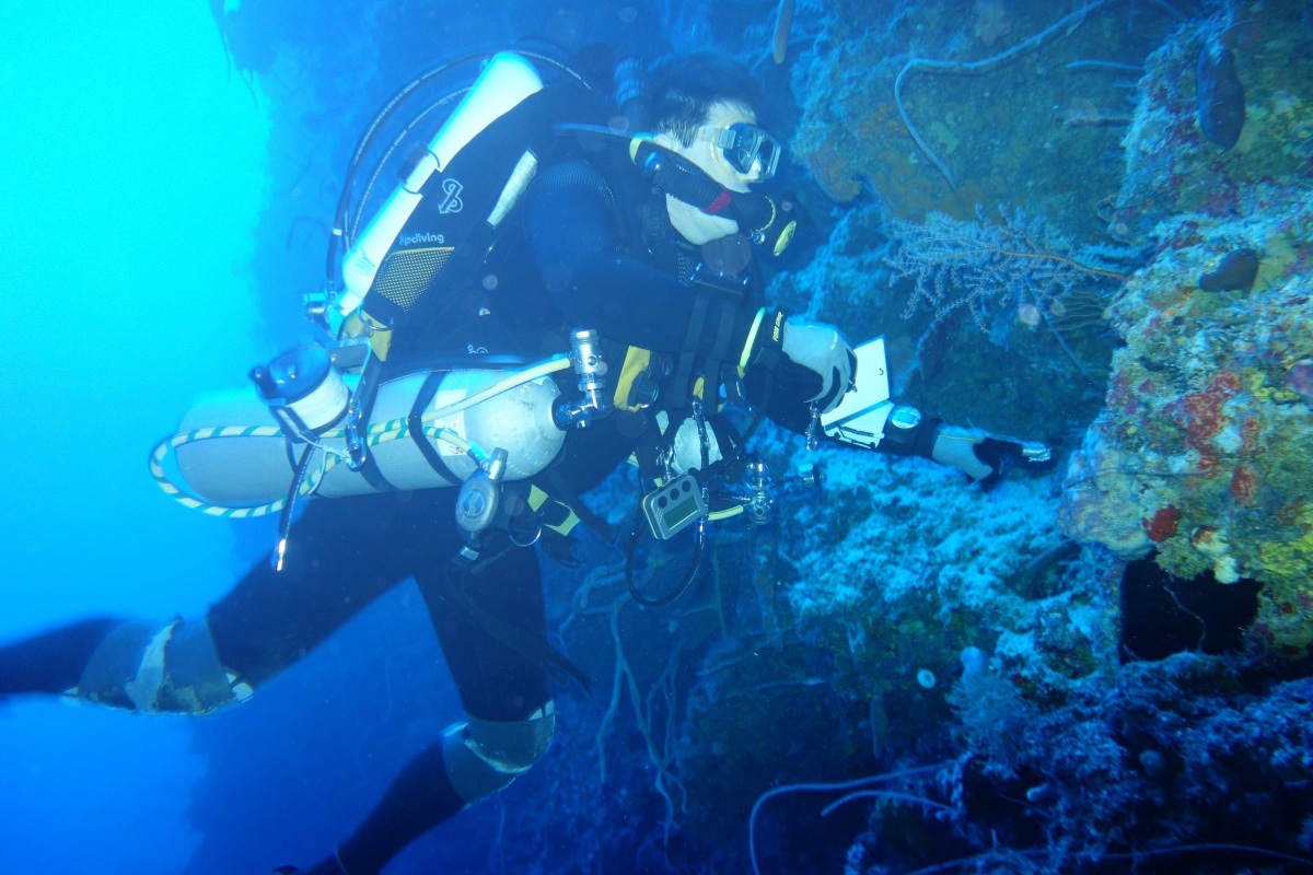 Professor Michael Lesser SCUBA diving