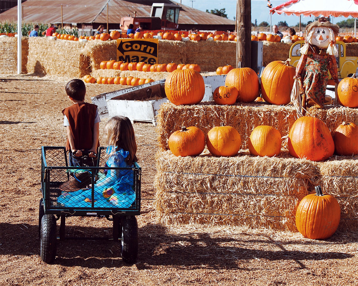 A photo of two kids at a pumpkin festival/corn maze event held in the fall. The bowl pulls a wagon, in which the girl sits. They are walking/riding past a display of haybales and pumpkins with a scarecrow.