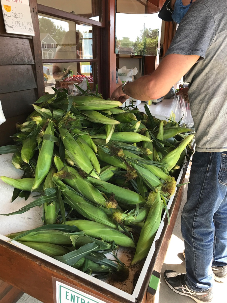 A photo of a person, likely a man, shopping at a roadside farmers market. The person picks through a bin of sweet corn, putting some in a plastic bag he holds.