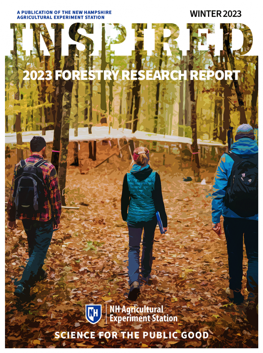 Cover image of INSPIRED Forestry Research Report showing three people walking in the woods.