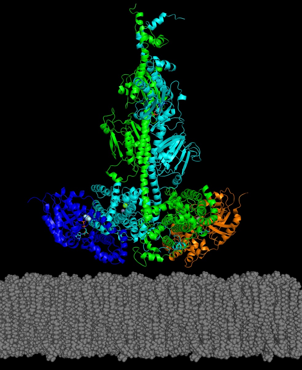 Scientific illustration of enzyme PDE6, with colorful curls