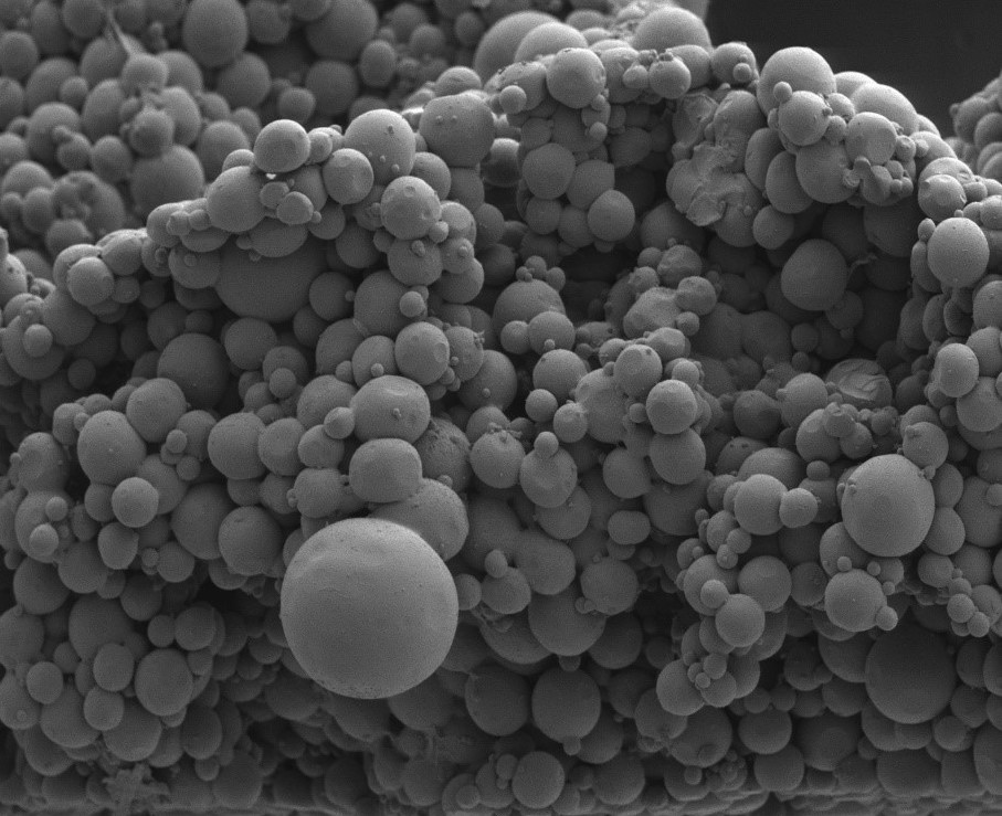 microscope image of porous hydrogel