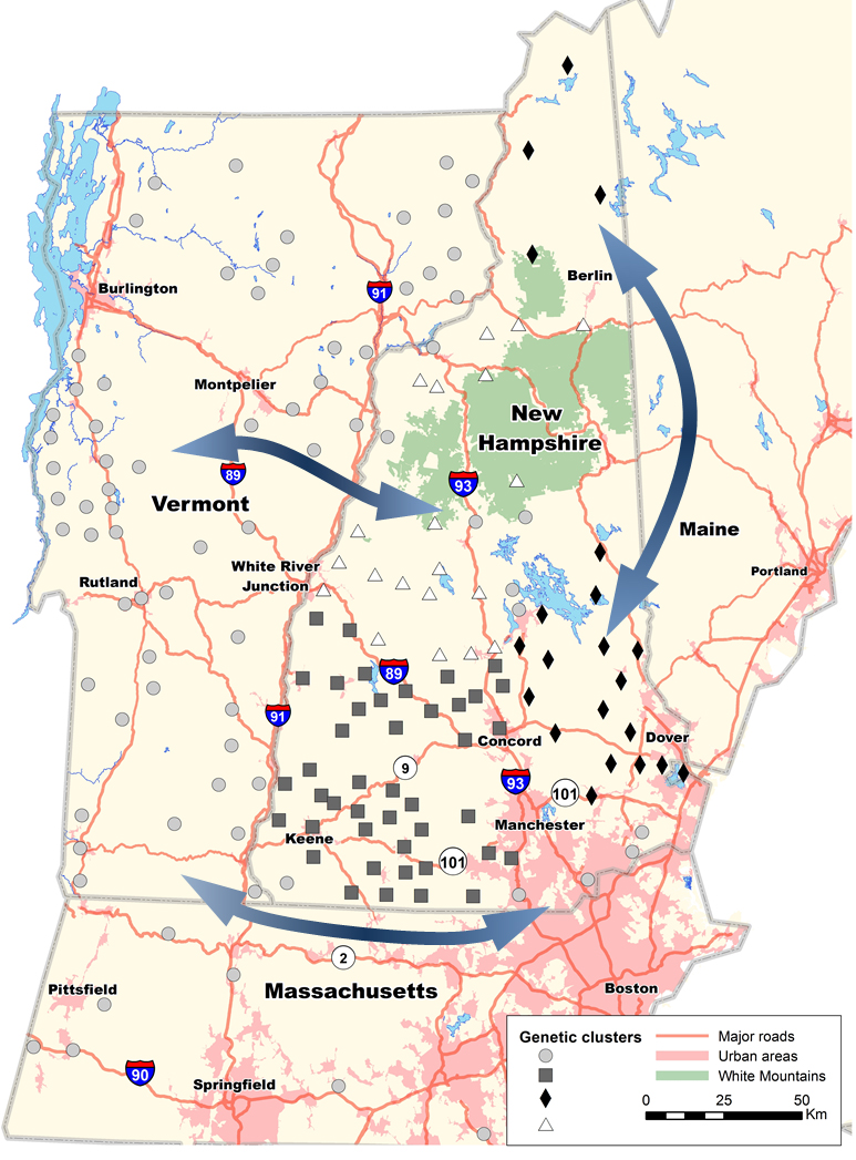 Map of roads and bobcat clusters in New England