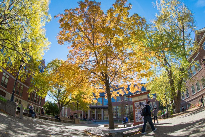 UNH students walking through Murkland Courtyard