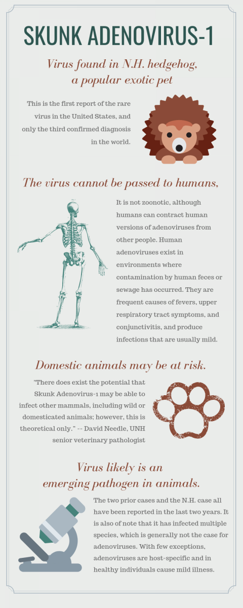 Infographic on Skunk Adenovirus-1
