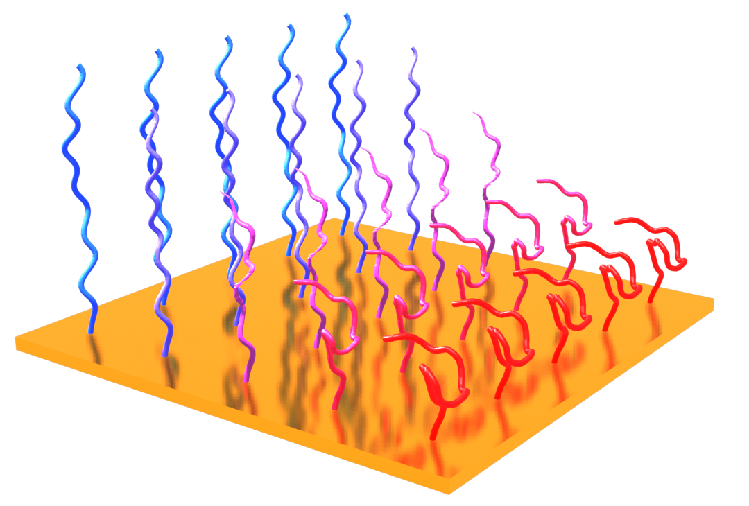 Scientific illustration of colorful squiggly lines rising from a yellow surface
