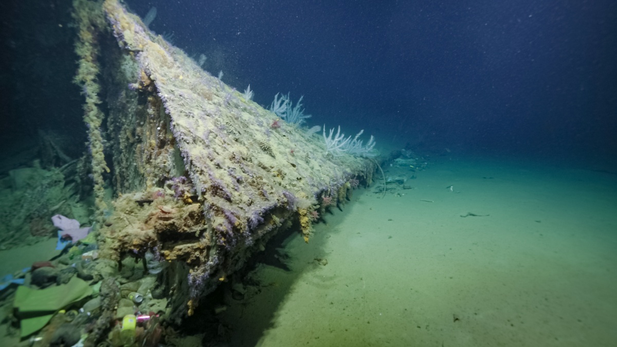 Underwater image of the bow of a shipwreck