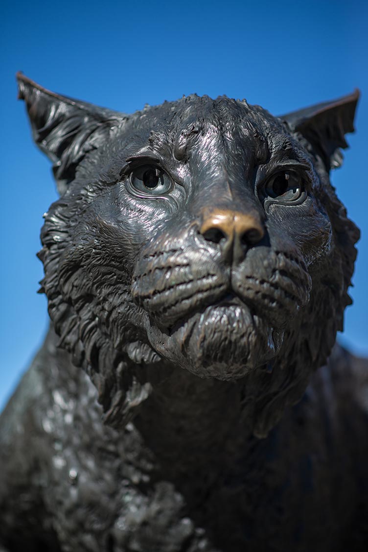 Wildcat statue