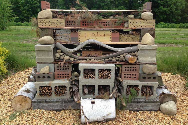 UNH bee hotel UNH bee hotel