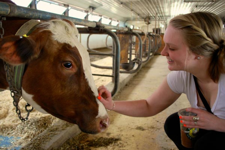 brittany kokoszka with dairy cow