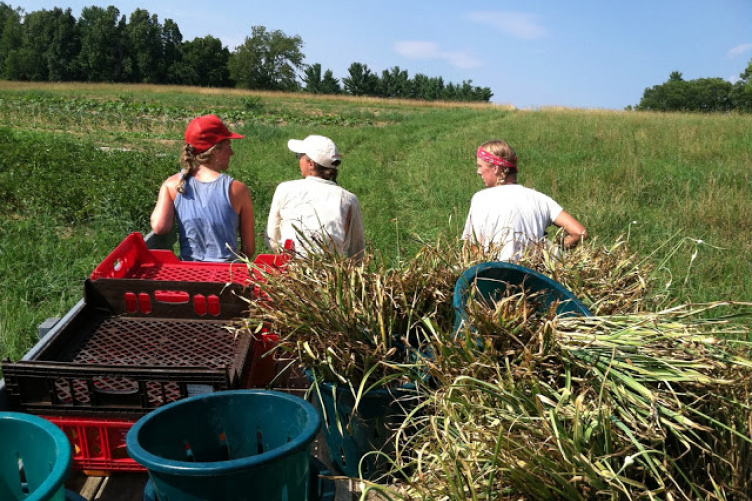 students at farm internship