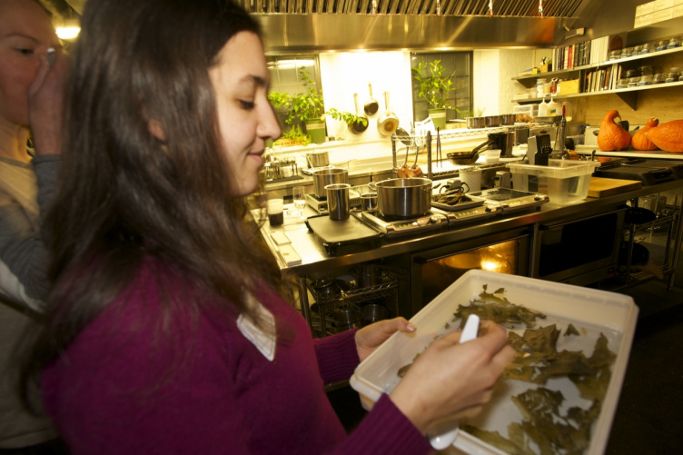 Researcher with Kelp