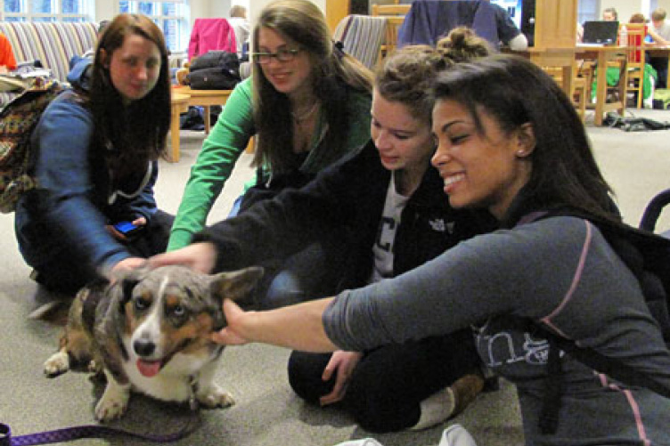 students with dog during pet therapy
