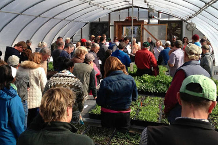 local farmers in UNH winter greenhouse with lettuce local farmers in UNH winter greenhouse with lettuce