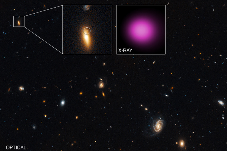 Telescope image of space, with bright yellow and bright purple objects highlighted