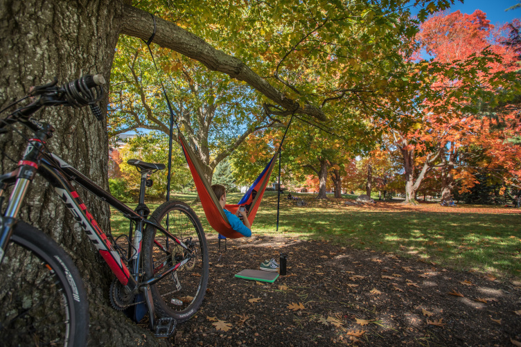 UNH student on campus fall 2016 UNH student on campus fall 2016