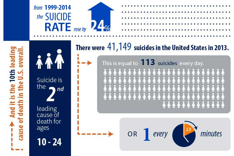 A chart showing suicide rates in the United States