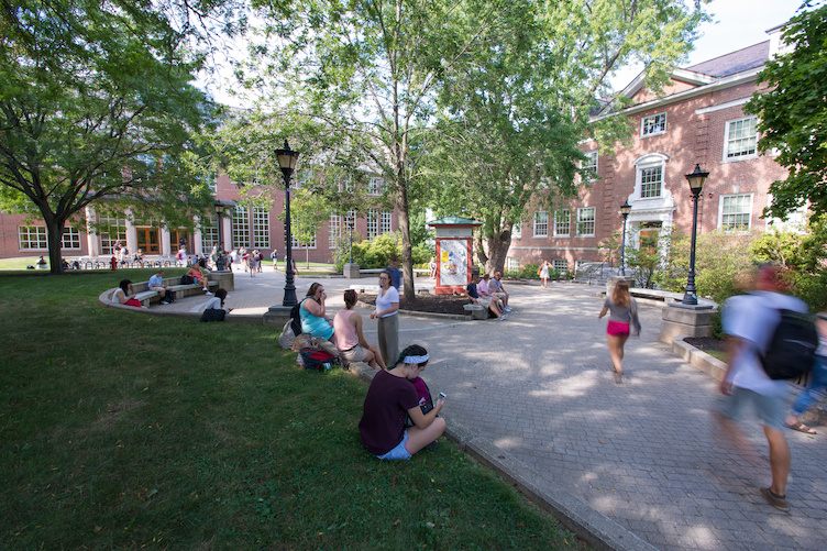 library courtyard