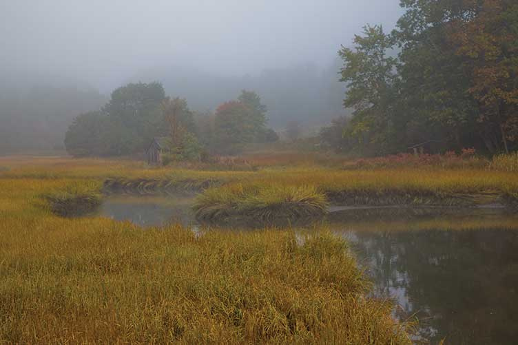 great bay estuary