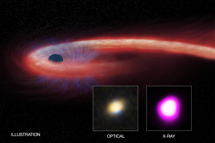 a black hole eating a dying star