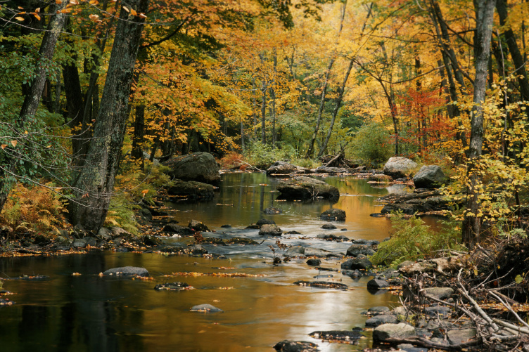 a New Hampshire river during autumn