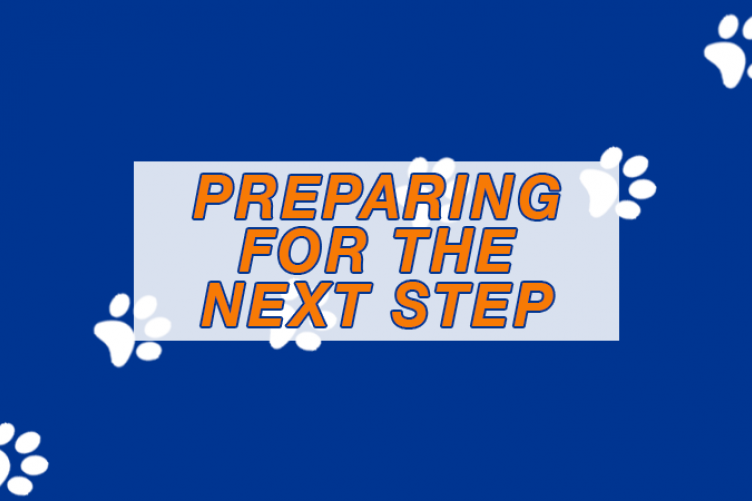 A graphic with the words "Preparing for the next step."