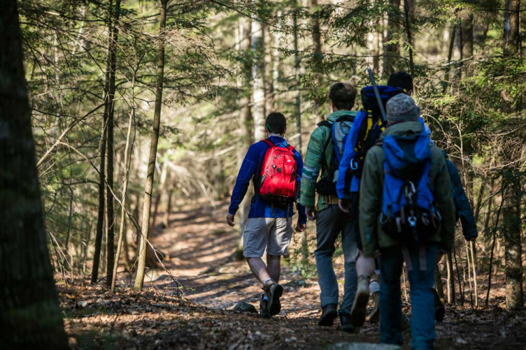 Students hiking in UNH's College Woods