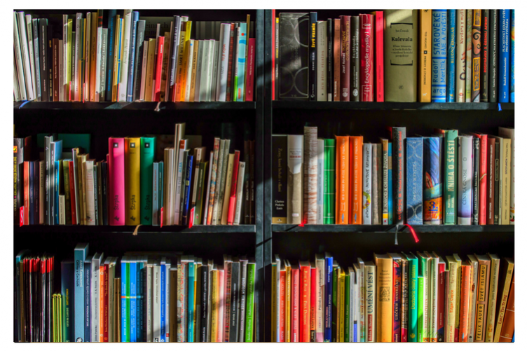 Books on library bookshelves