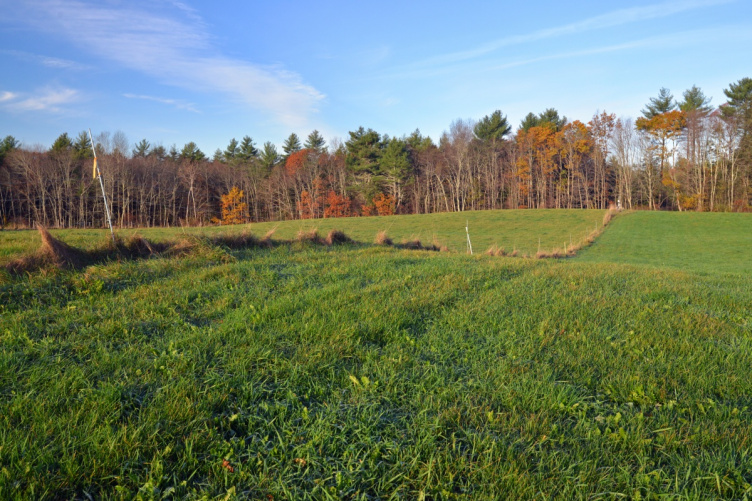 Field with subtle hills