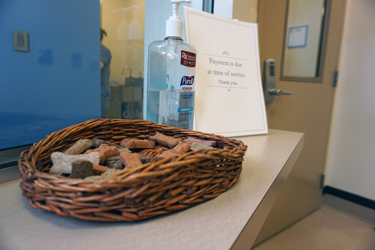 Reception area at the UNH PAWS Veterinary Clinic