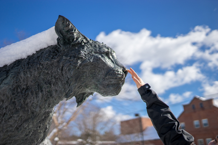 UNH's Wildcat statue with a student's arm reaching up to pat the nose