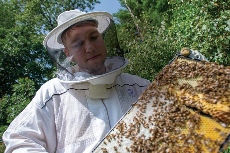 Student conducting bee research