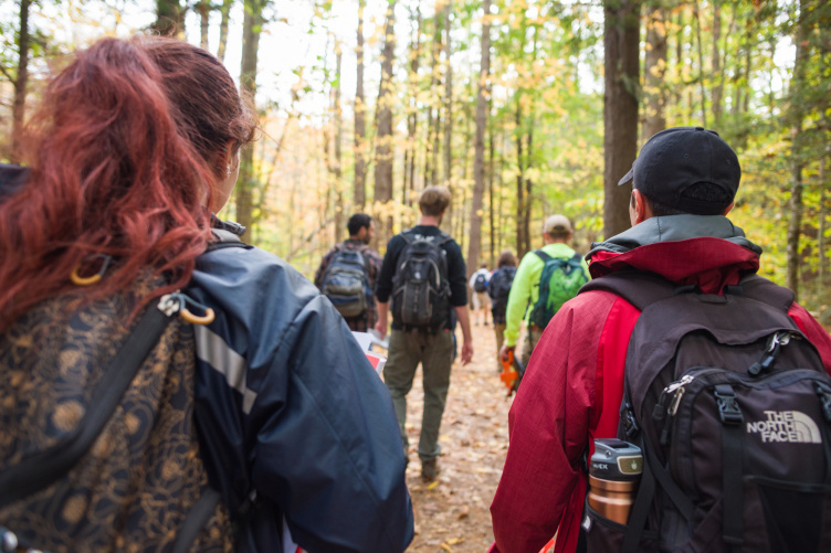 people walking through the wilderness