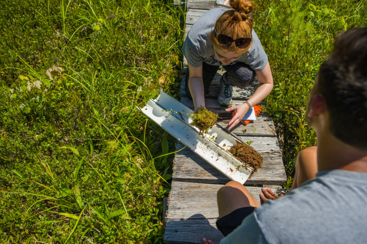 Researchers take a soil sample