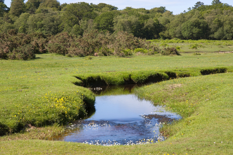 Countryside stream Countryside stream