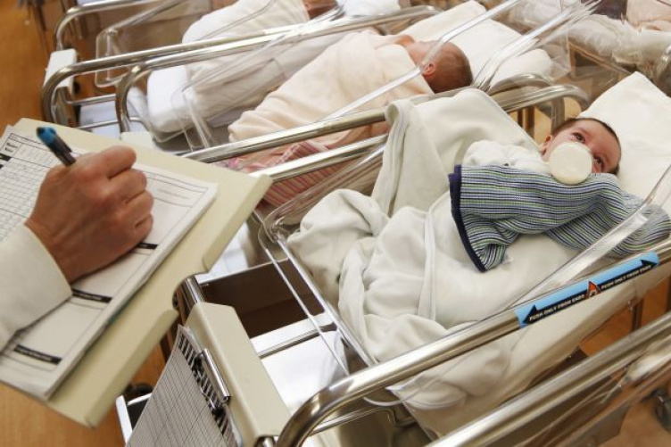 Image of newborn babies