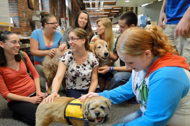 Visits from therapy dogs are one of the stress-reducing activities offered during Frazzle Free Finals at UNH Manchester