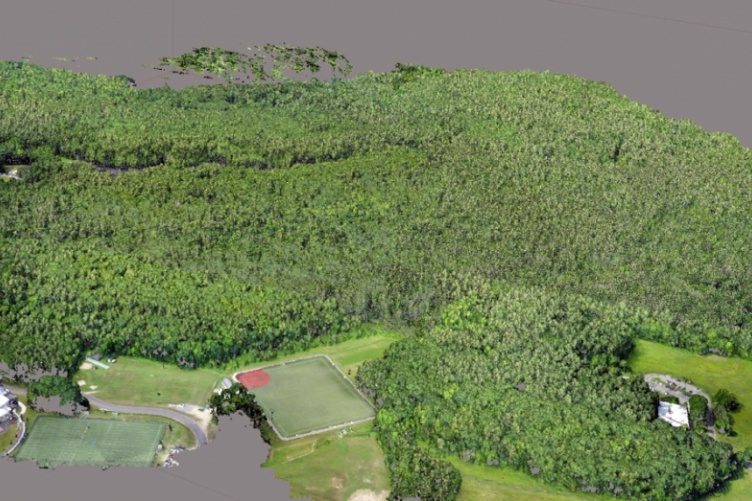 Map of college woods