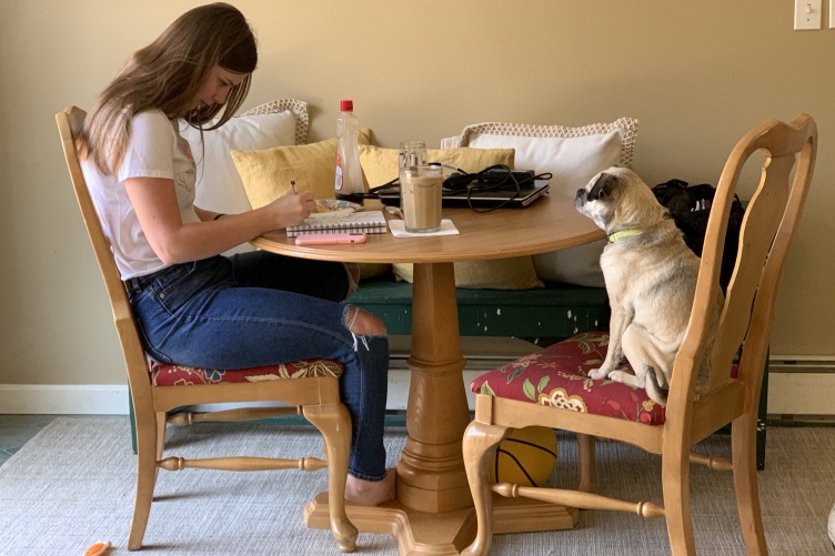 Student studying at kitchen table with her dog on a chair